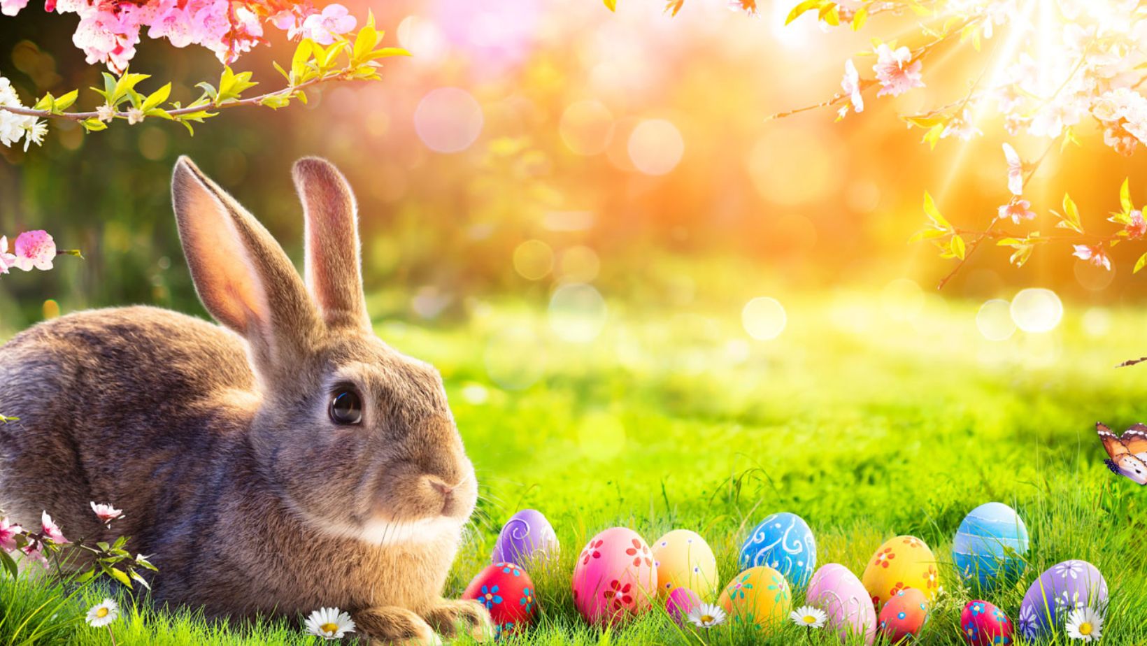 The Strange Origins of the Easter Bunny